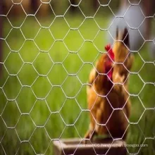 Home Garden Chicken Hexagonal Wire Mesh Netting Fence